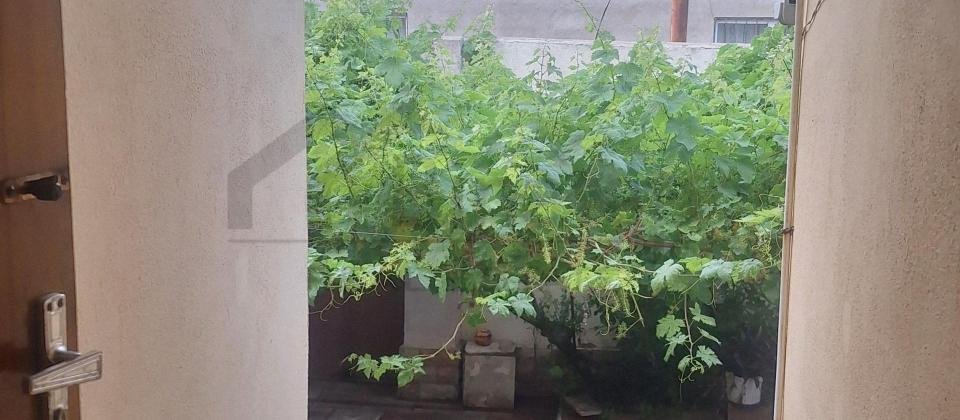 Abşeron. Masazır - 8