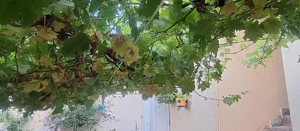 Abşeron. Masazır - 9