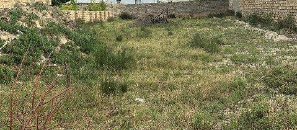 Satilir torpaq sahesi/10 sot, Pirsagi qesebesi, Tonqal restoraninin yani, denize yaxindir - 2