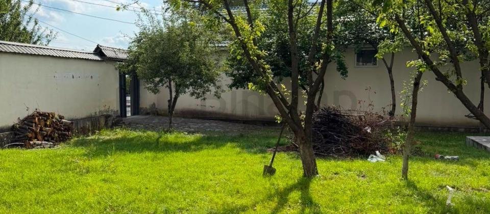 Qebelede villa obyekt kimi icareye verilir - 10