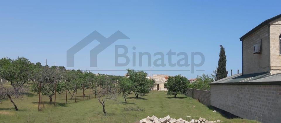 saray qesebesinde Villa Badam terefde 16,5 sot torpaq satilir