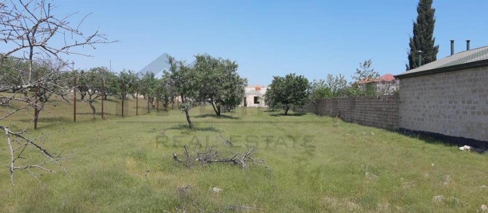 saray qesebesinde Villa Badam terefde 16,5 sot torpaq satilir - 2
