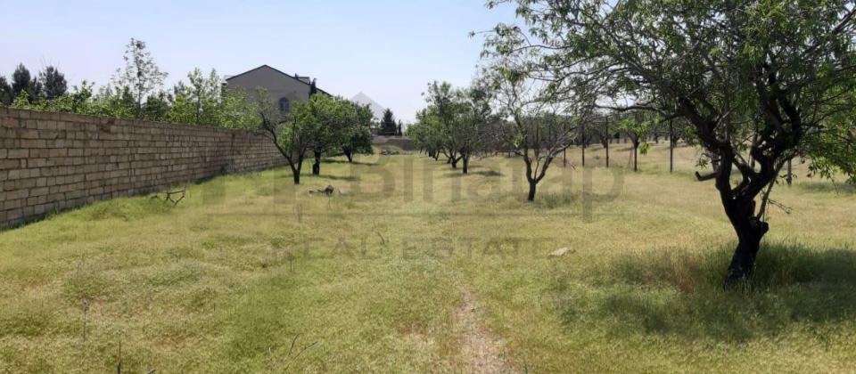 saray qesebesinde Villa Badam terefde 16,5 sot torpaq satilir - 3