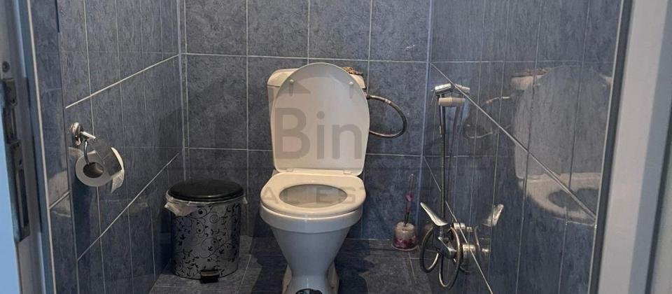 Bineqedi centralni - 10