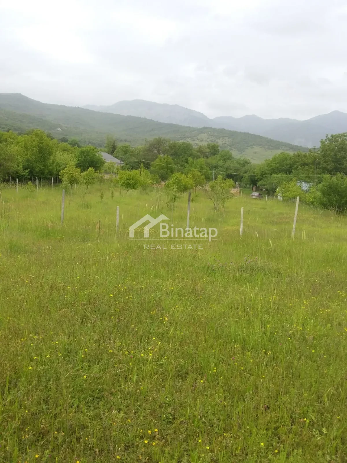 Satılır torpaq 50 sot, İsmayıllı r. — şəkil 1
