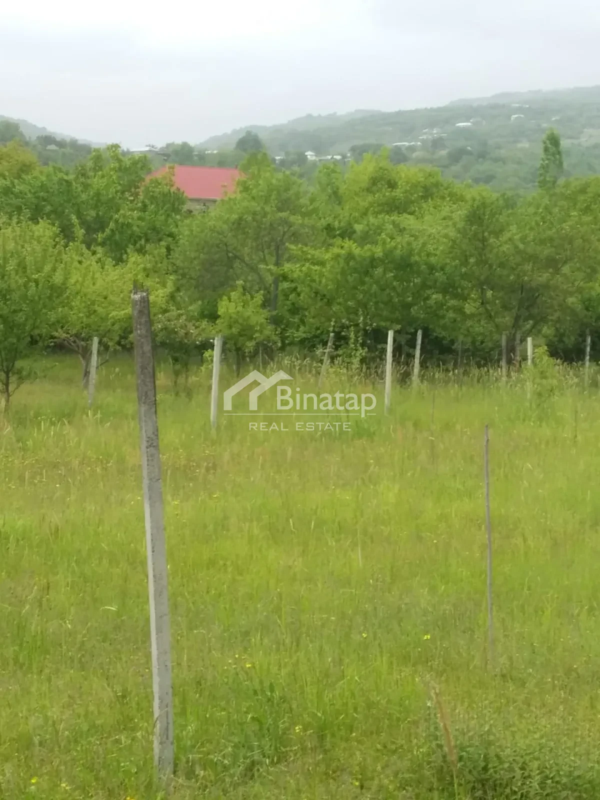 Satılır torpaq 50 sot, İsmayıllı r. — şəkil 3