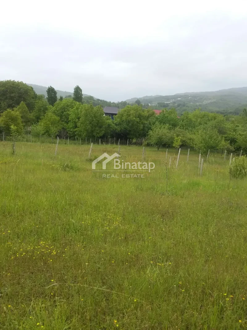 Satılır torpaq 50 sot, İsmayıllı r. — şəkil 6