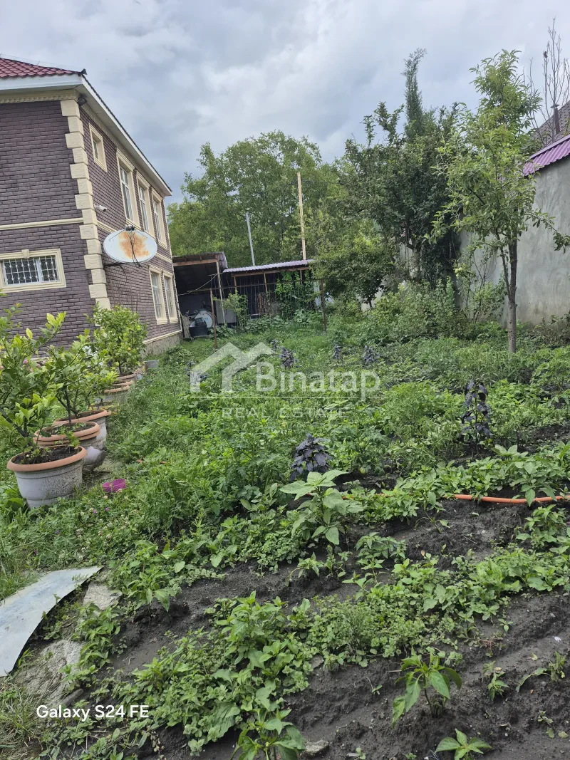 Satılır 5+ otaqlı həyət evi / bağ evi 400 m², Qəbələ r. — şəkil 3