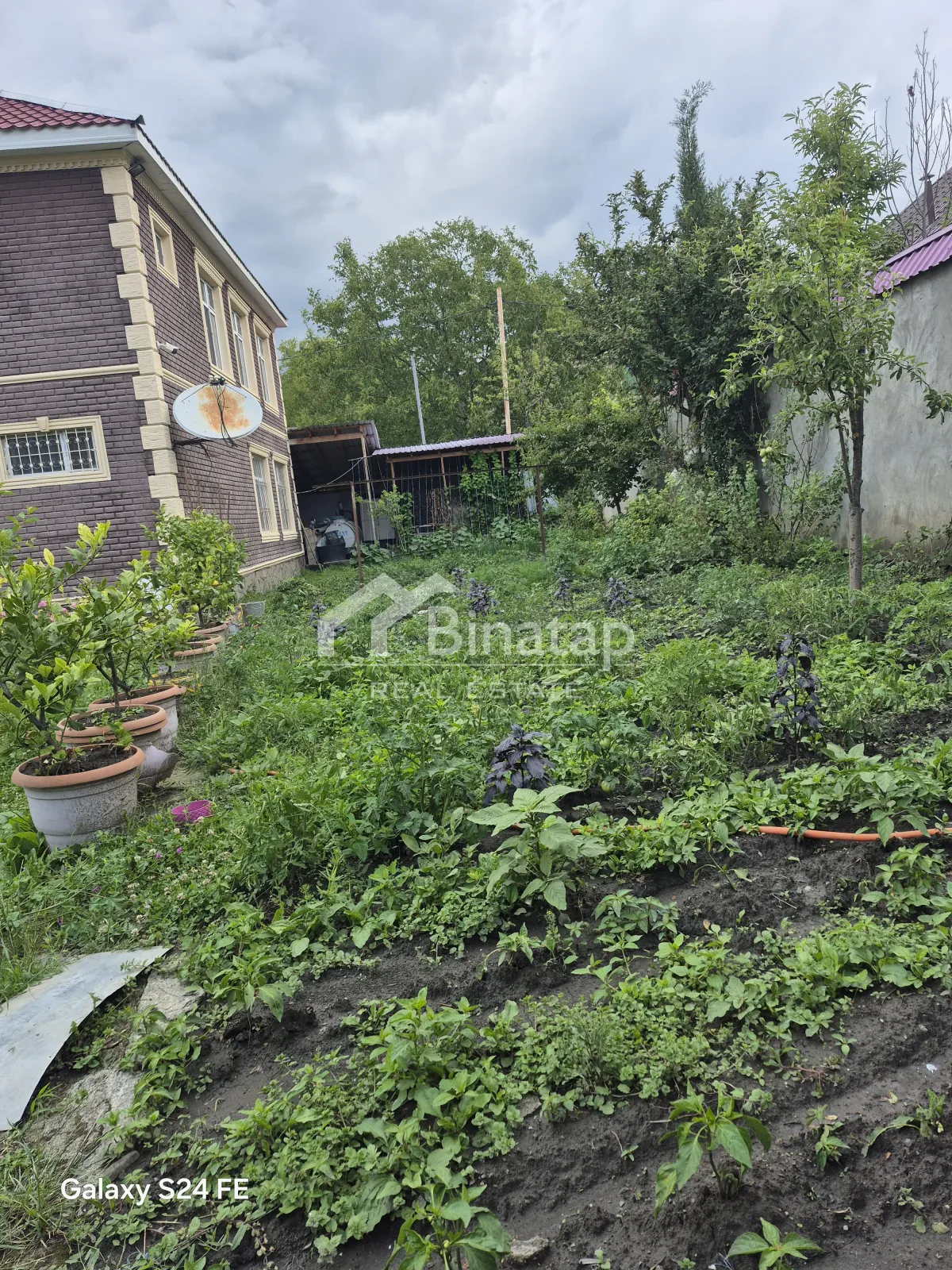 Satılır 5+ otaqlı həyət evi / bağ evi 400 m², Qəbələ r. — şəkil 3