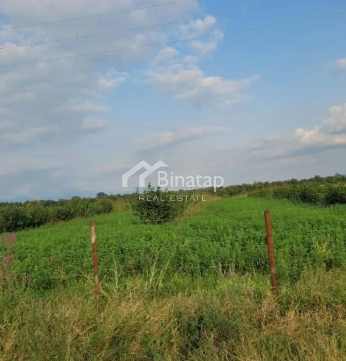 Satılır torpaq 138 sot, Qəbələ r. — şəkil 3