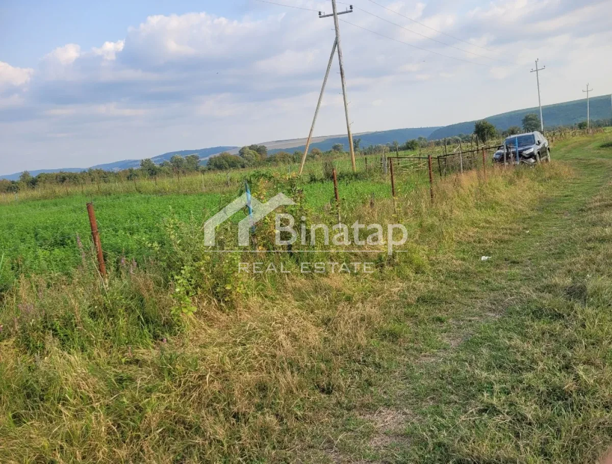 Satılır torpaq 138 sot, Qəbələ r. — şəkil 7