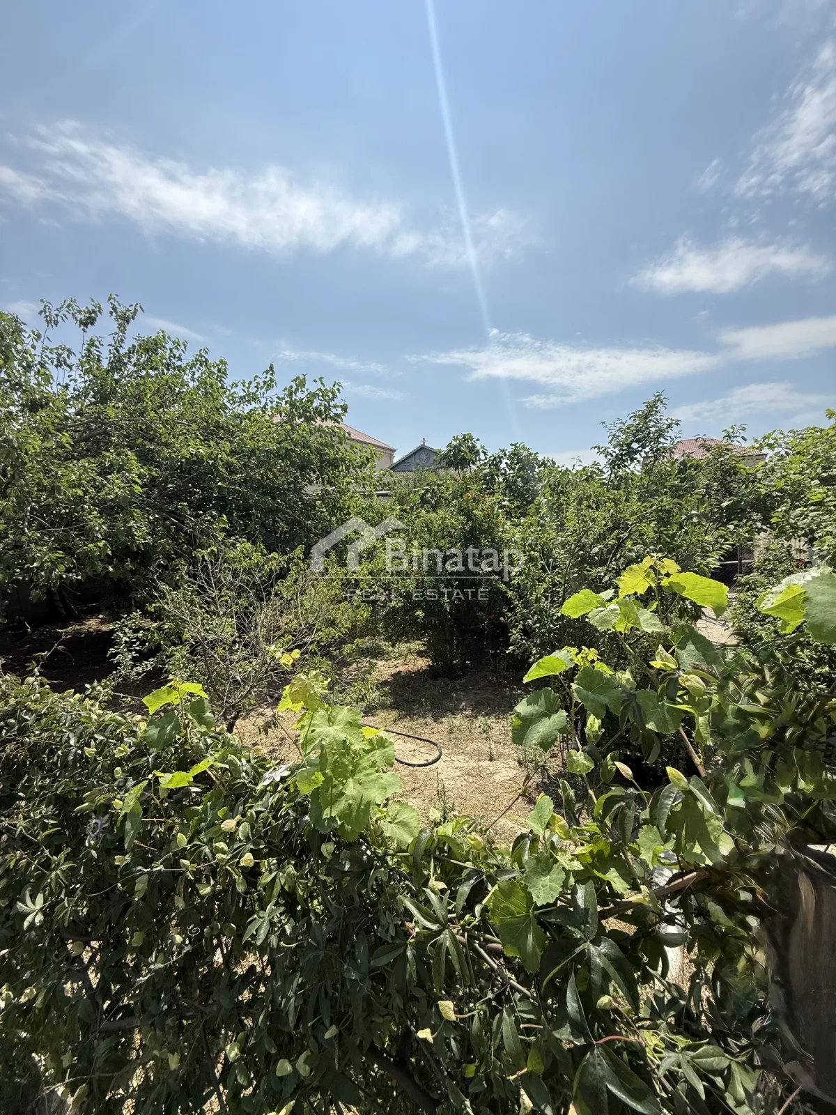 Satılır 5+ otaqlı həyət evi / bağ evi 800 m², Masazır qəs. — şəkil 8