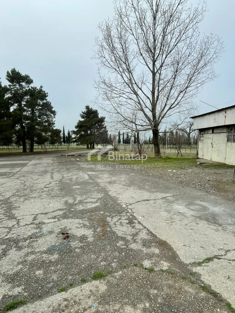 Satılır obyekt 3000 m², Oğuz r.