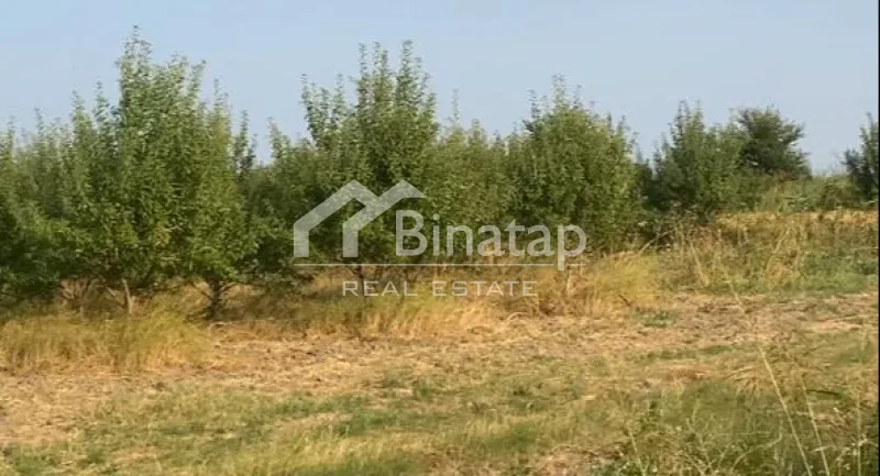Satılır torpaq 412 sot, Şabran r. — şəkil 6