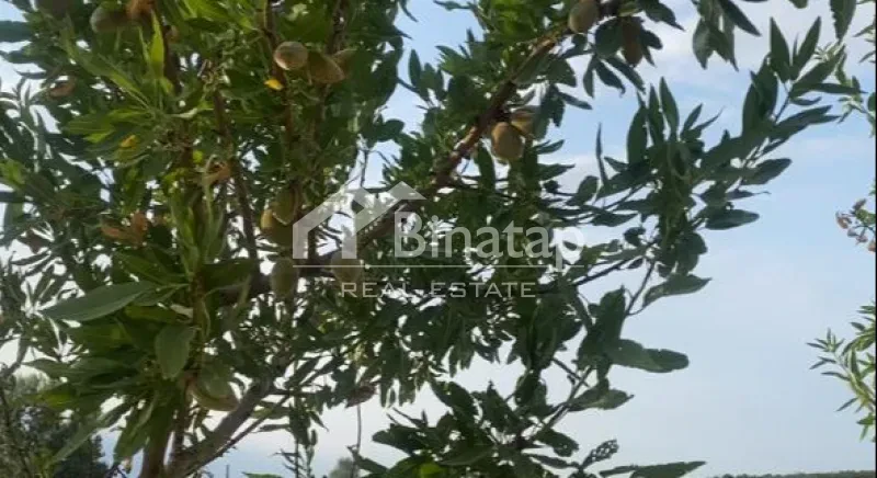 Satılır torpaq 412 sot, Şabran r. — şəkil 11