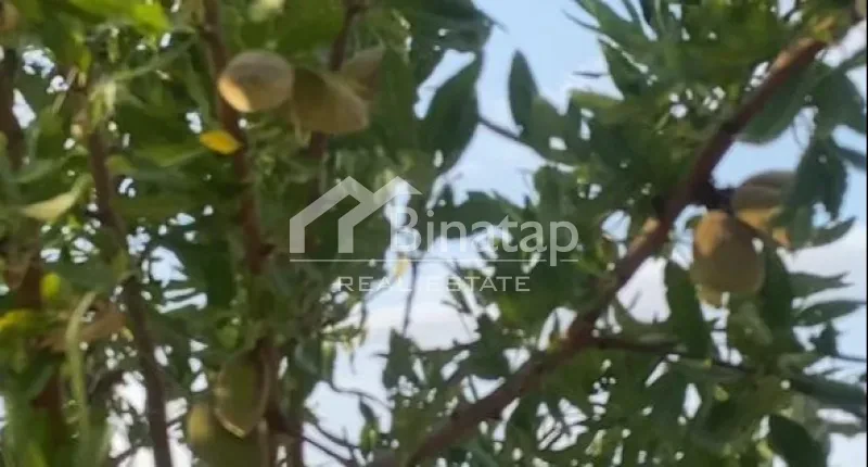 Satılır torpaq 412 sot, Şabran r. — şəkil 12