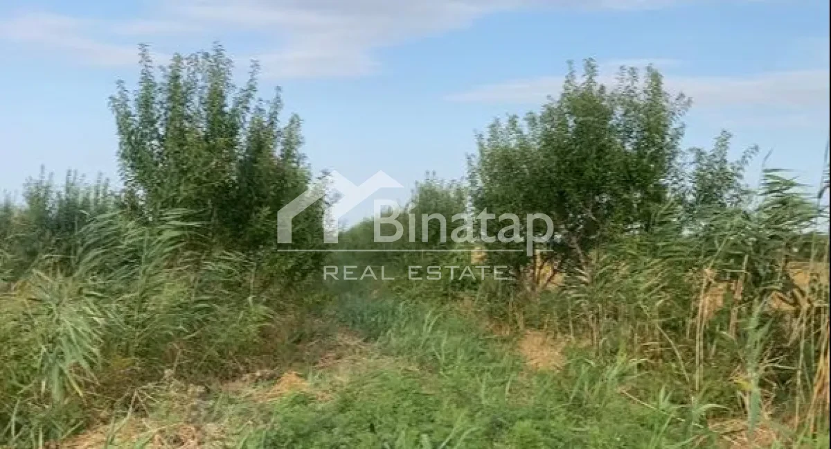 Satılır torpaq 412 sot, Şabran r. — şəkil 17