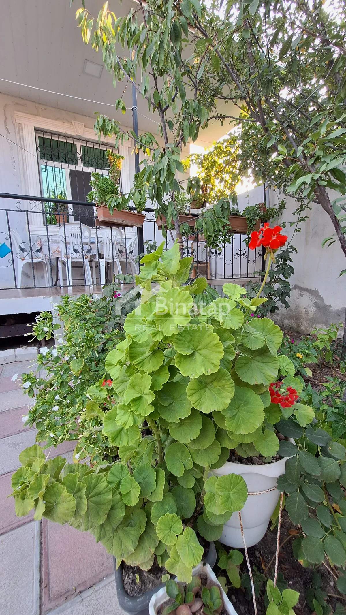 Satılır 4 otaqlı həyət evi / bağ evi 147 m², Avtovağzal m. — şəkil 4