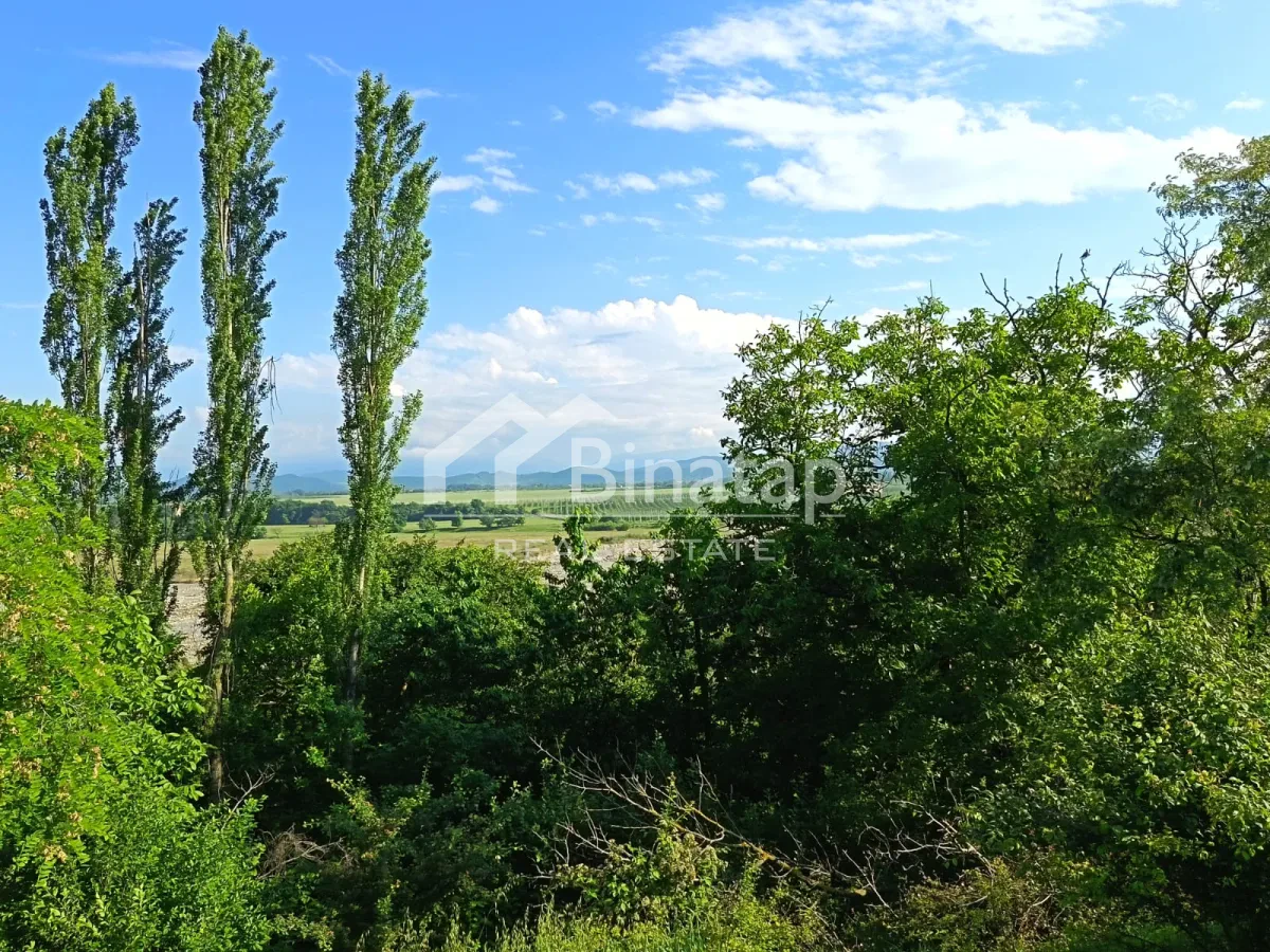 Satılır torpaq 20 sot, Quba r. — şəkil 3