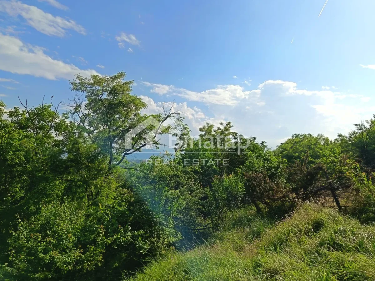Satılır torpaq 20 sot, Quba r. — şəkil 5