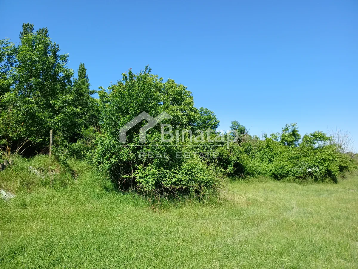 Satılır torpaq 20 sot, Quba r. — şəkil 8