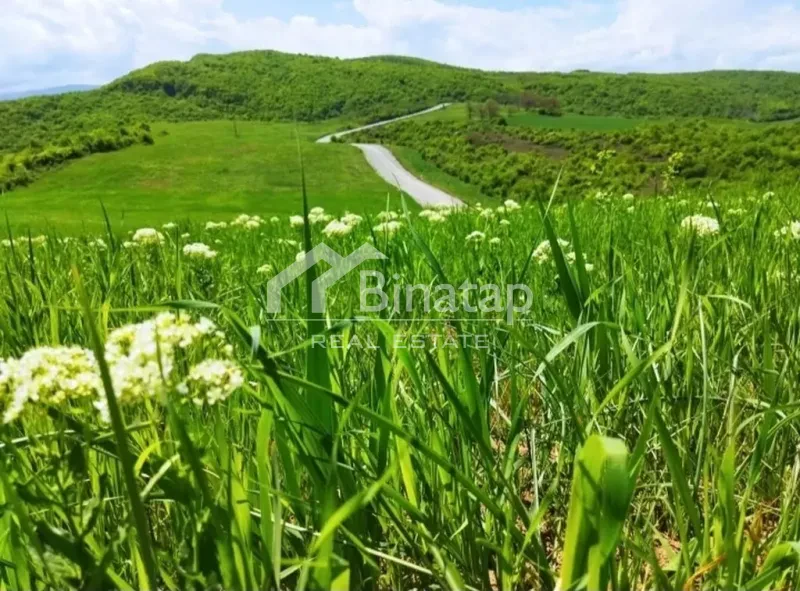 Satılır torpaq 524 sot, Quba r. — şəkil 2