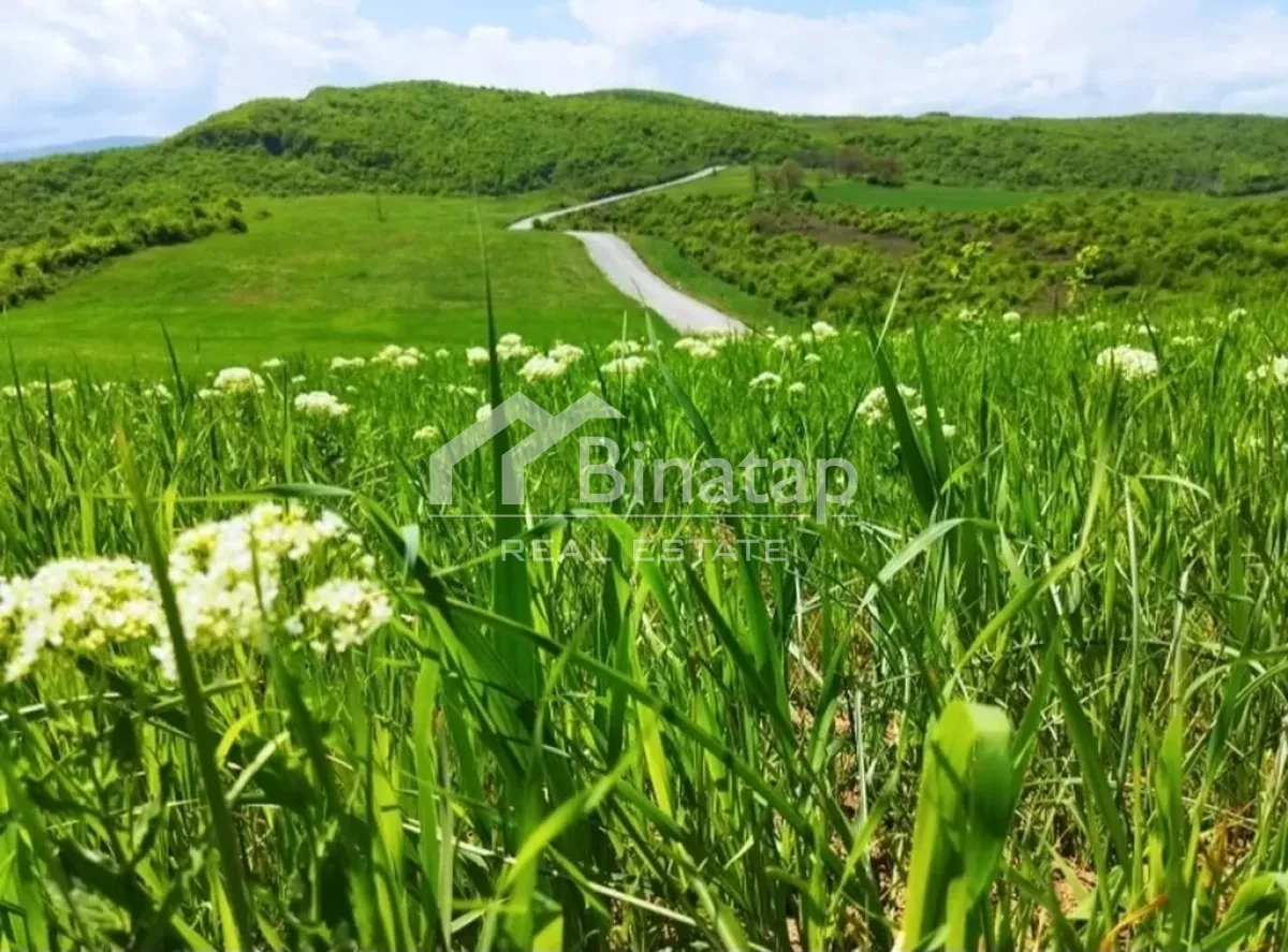 Satılır torpaq 524 sot, Quba r. — şəkil 2
