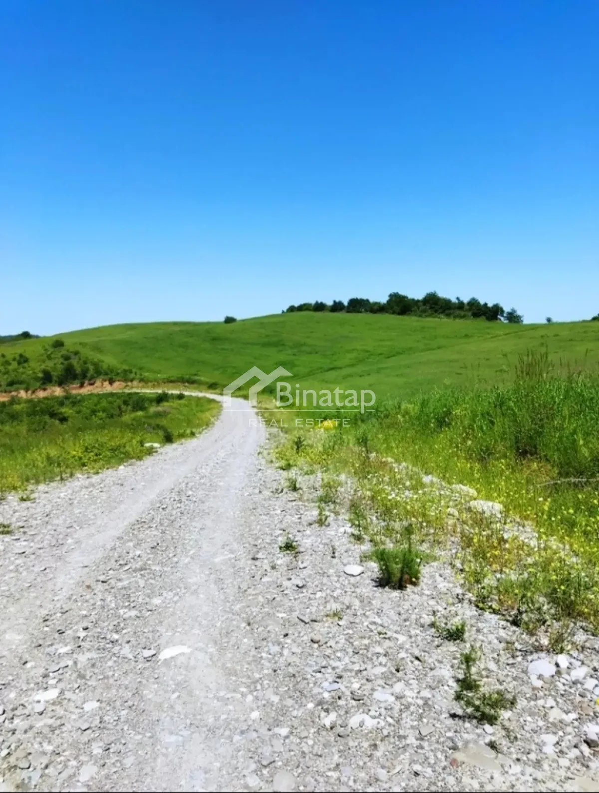 Satılır torpaq 524 sot, Quba r. — şəkil 3