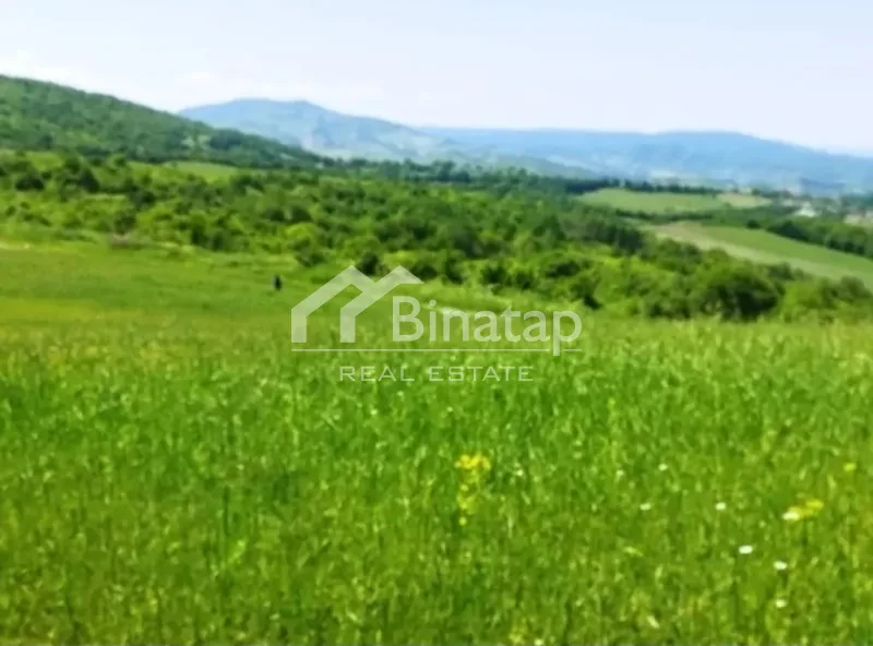Satılır torpaq 524 sot, Quba r. — şəkil 4