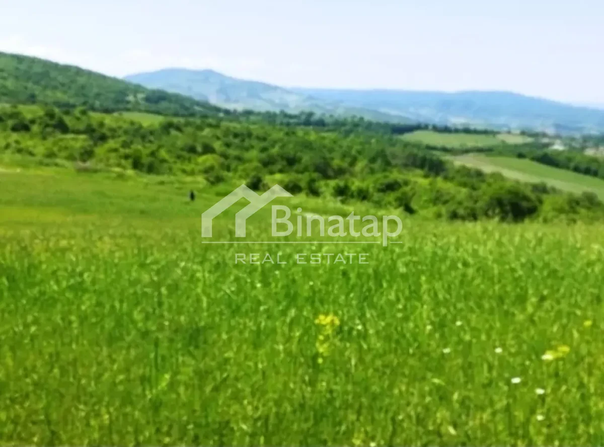 Satılır torpaq 524 sot, Quba r. — şəkil 4