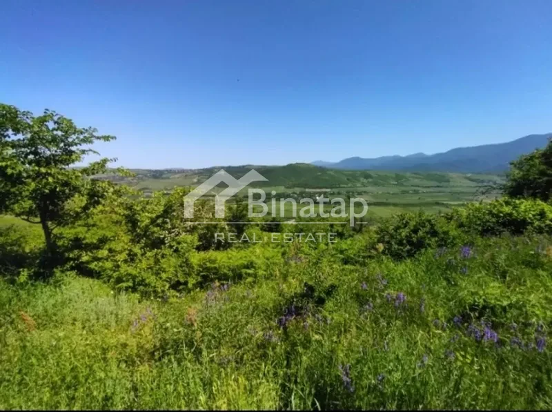 Satılır torpaq 524 sot, Quba r. — şəkil 6