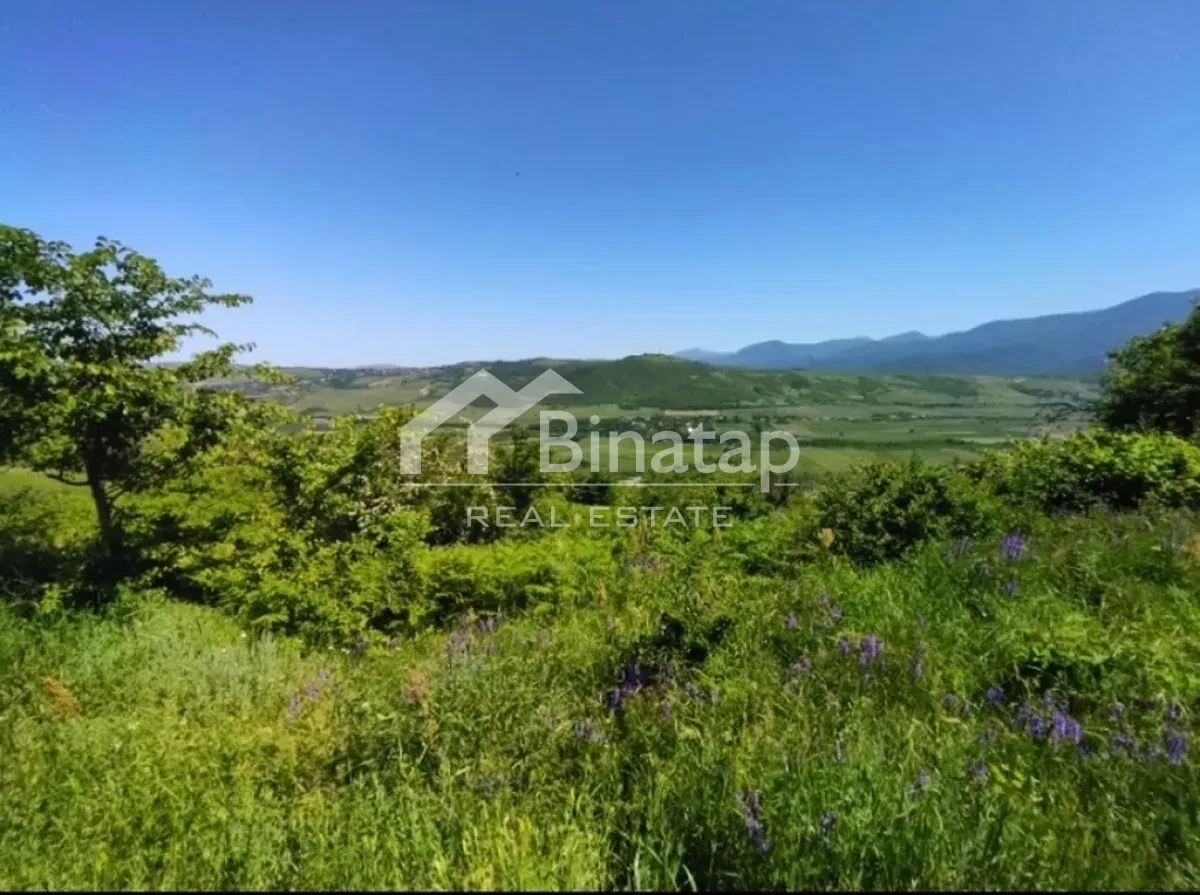 Satılır torpaq 524 sot, Quba r. — şəkil 6