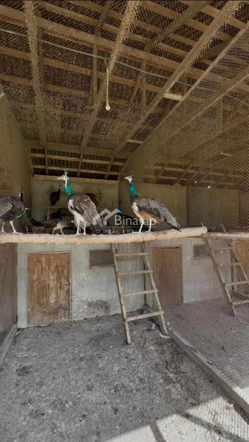 İcarəyə verilir 6 otaqlı həyət evi / bağ evi 400 m², Badamdar qəs. — şəkil 20