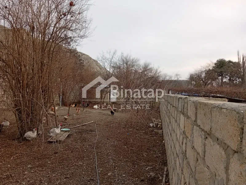 Satılır 3 otaqlı həyət evi / bağ evi 100 m², Mingəçevir r.