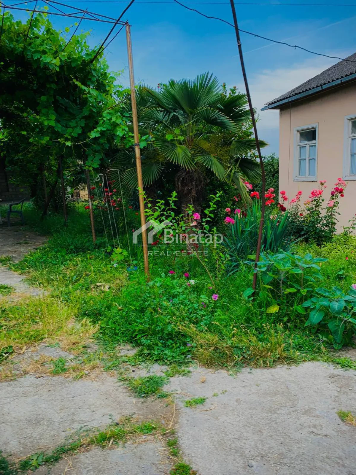 Satılır 6 otaqlı həyət evi / bağ evi 1800 m², Quba r. — şəkil 1