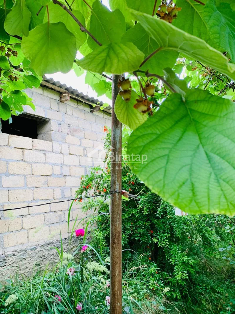 Satılır 6 otaqlı həyət evi / bağ evi 1800 m², Quba r. — şəkil 6
