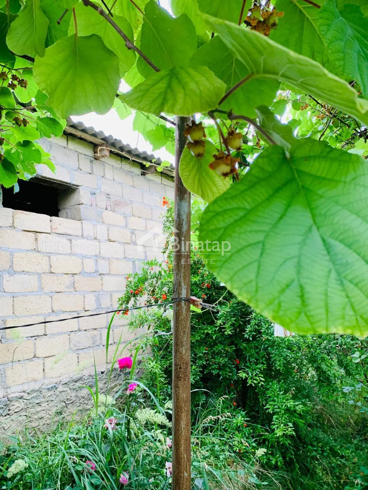 Satılır 6 otaqlı həyət evi / bağ evi 1800 m², Quba r. — şəkil 6