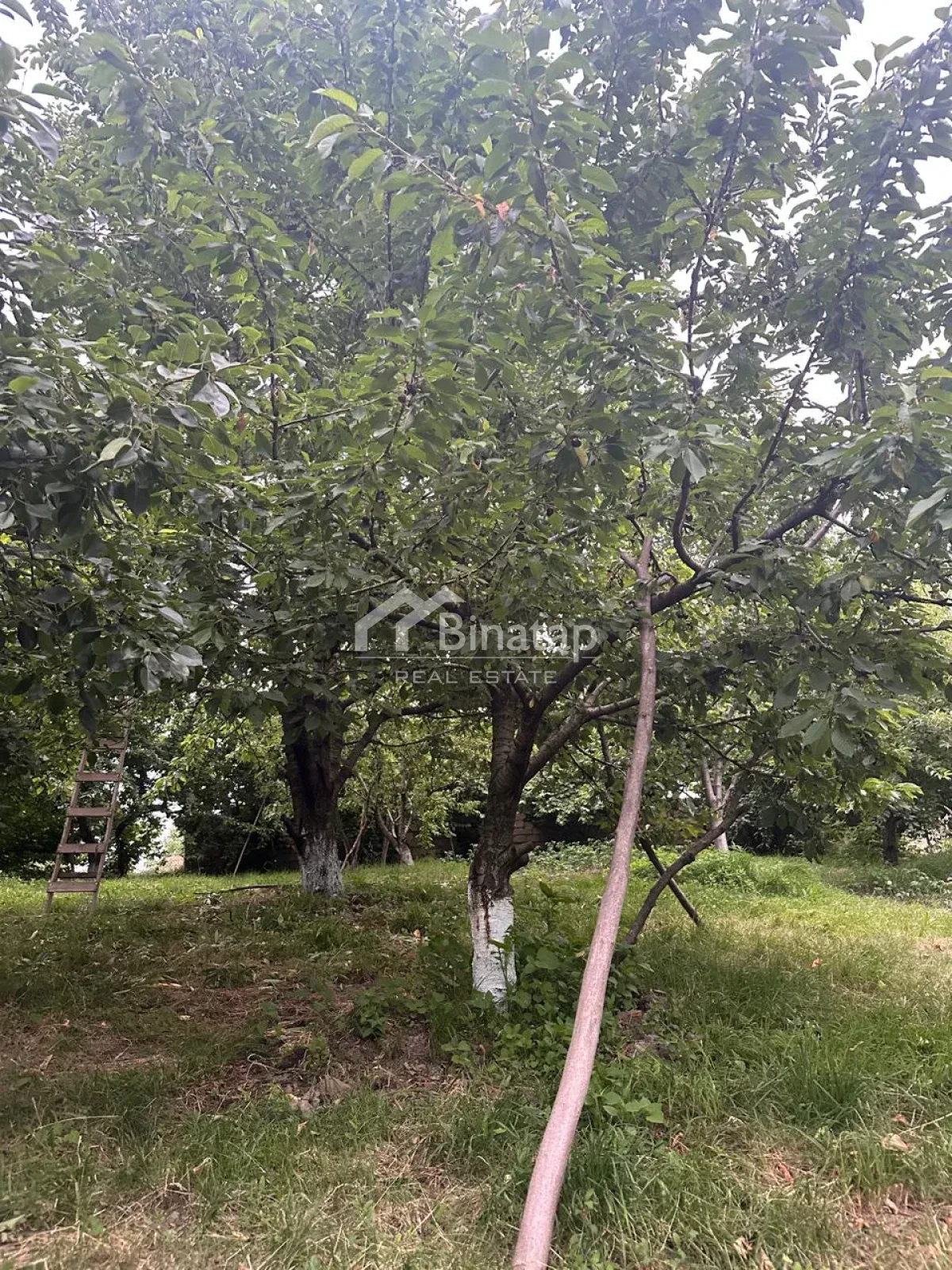 Продаётся участок 10.5 сот., Губа р-н — фото 6