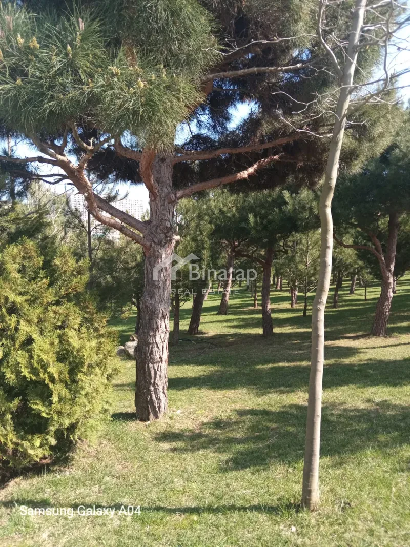 Satılır 2 otaqlı yeni tikili 55 m², Həzi Aslanov m. — şəkil 20