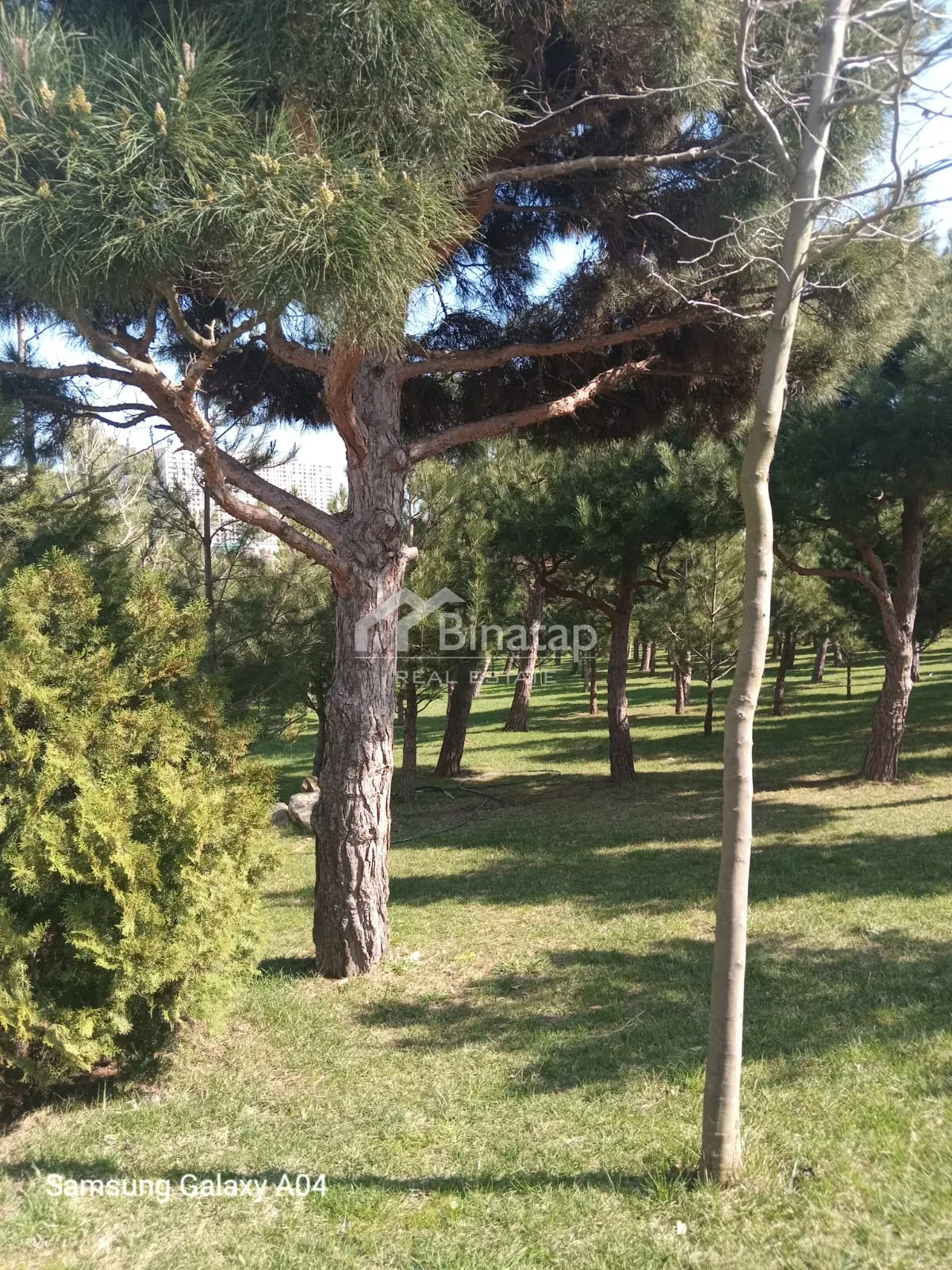 Satılır 2 otaqlı yeni tikili 55 m², Həzi Aslanov m. — şəkil 20