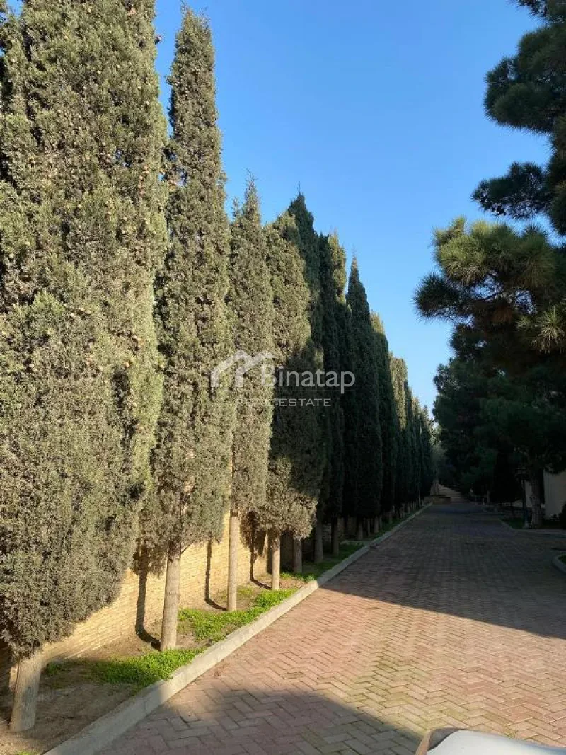 Satılır 10 otaqlı həyət evi / bağ evi 500 m², Şıxov qəs. — şəkil 4